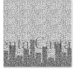 88442300