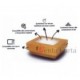Contenitore cartoncino ECO BAKE 118