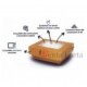 Contenitore cartoncino ECO BAKE 205